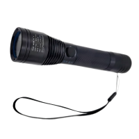 洛安斯 袖珍防爆工作灯 BAD202C 个