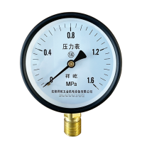 祥屹 压力表检测型 块