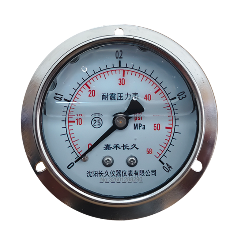 嘉禾长久 耐震压力表轴向带边检测型 YTN100ZT 块