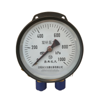 嘉禾长久 双针压力表 YZS-102 1.0级 台