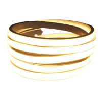 RDZM 防水软灯条 LED灯带(电压:220V)RDM0065 10米/条