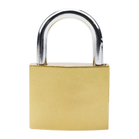 鸿灵睿芯 GS22 锌合金 50mm*26mm 挂锁 (计价单位:个)黄铜色