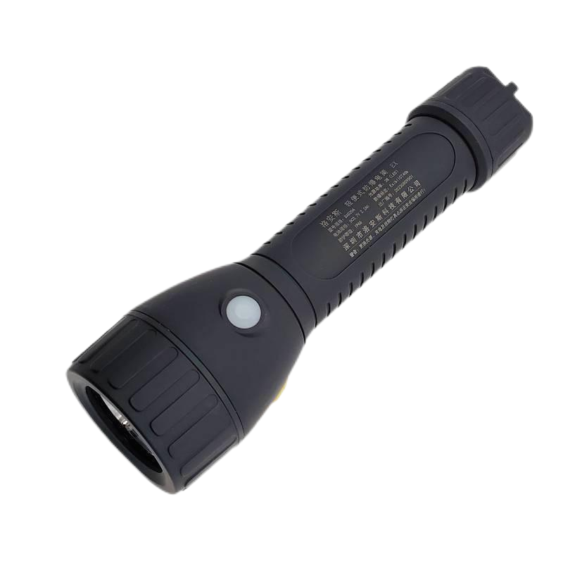 洛安斯 轻便式防爆电筒 BAD206 个