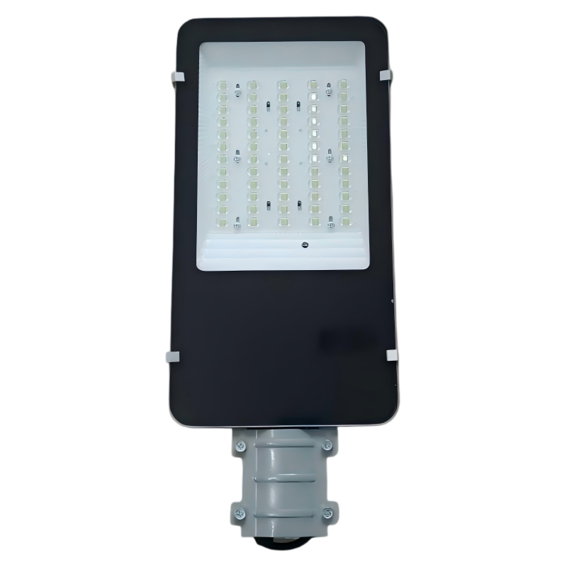 洛安斯 LED太阳能路灯 6米100W 个