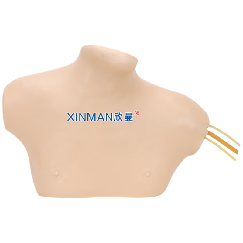 欣曼科教 中心静脉穿刺插管模型 中心静脉置管术训练模型XM-LZC02