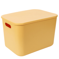 鑫木樽收纳盒25*18*15.6cm个