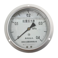 嘉禾长久 耐震压力表轴向带边检测型 YTN150ZT 块