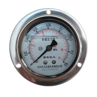嘉禾长久 耐震压力表轴向带边检测型 YTN60ZT 块