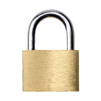 鸿灵睿芯 GS29 45mm*33mm 锌合金 挂锁(计价单位:个)黄色