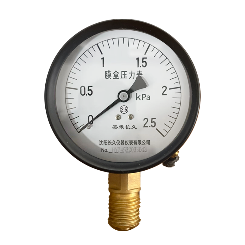 嘉禾长久 膜盒压力表检测型 YE60 块