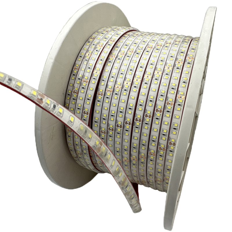盛王盛荣 LED灯带