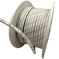 盛王盛荣 LED灯带