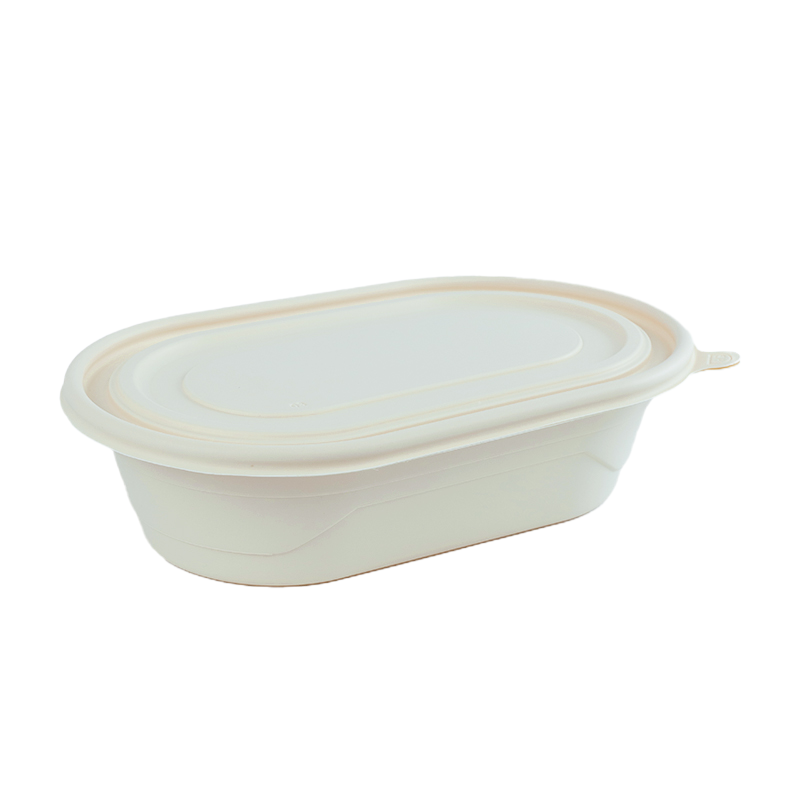 熊晟 一次性环保沙拉盒 700ml 400个/箱