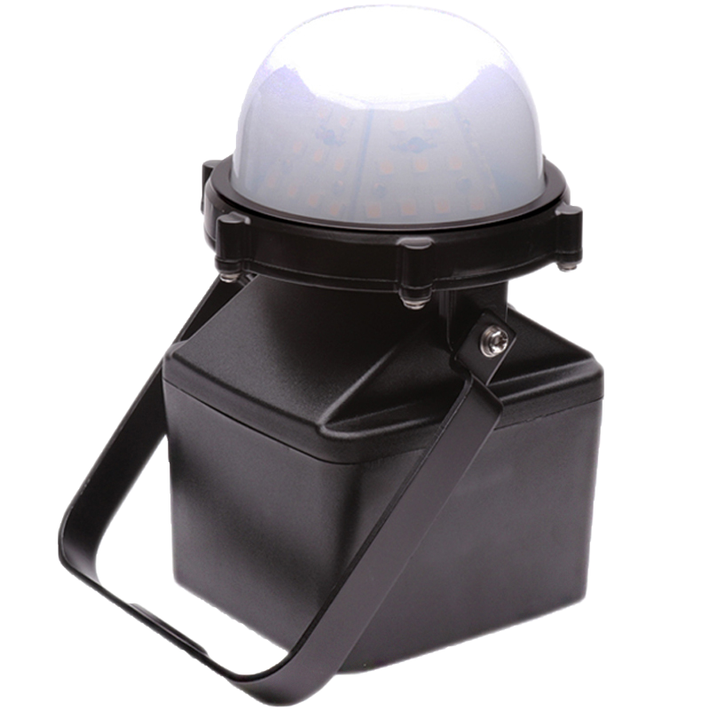 盛王盛荣 轻便式多功能强光灯