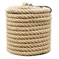 斯赞 小黄麻绳 6mm*50m 卷