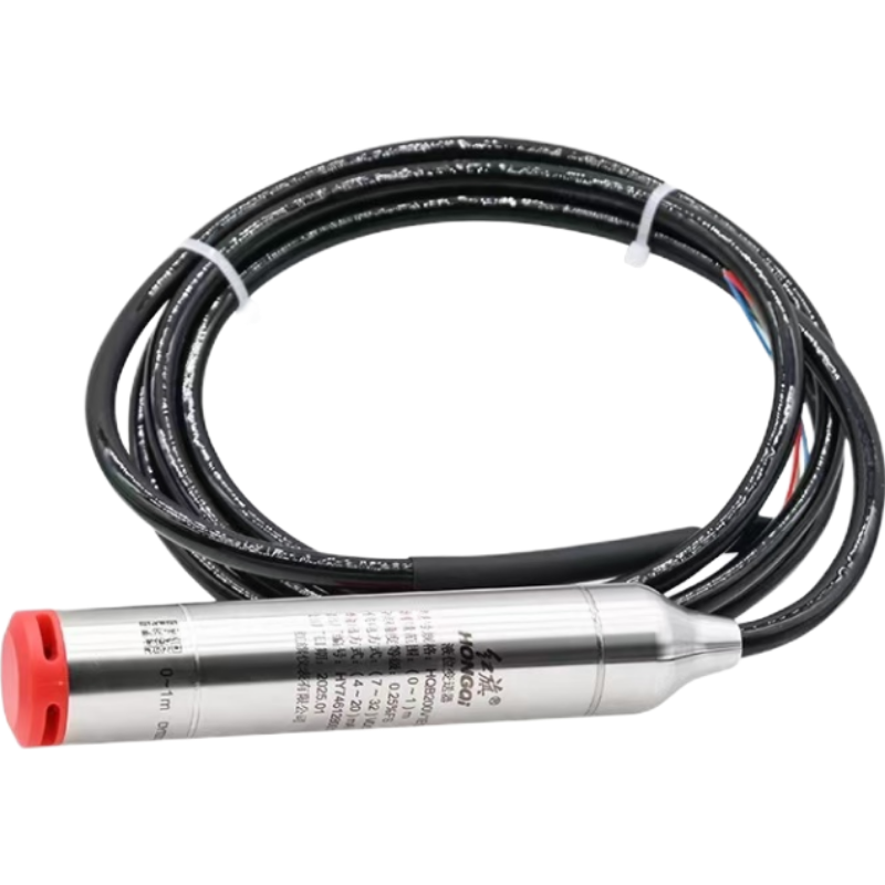 红旗 液位计变送器定制检测款 HQB200 0-1M/2米线缆 个