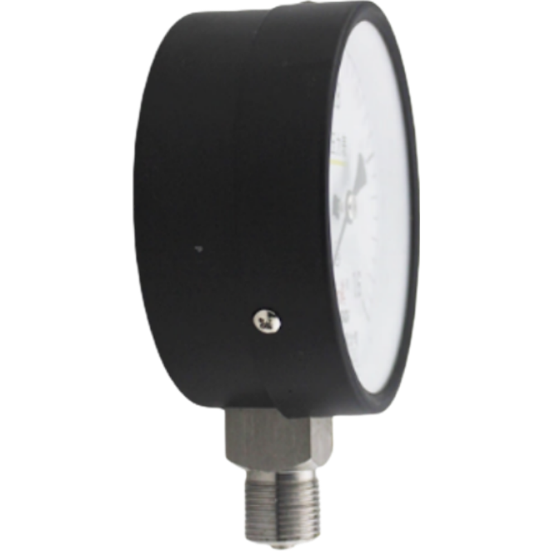 红旗 氨压力表定制检测款 YA-150 (压力值需备注) 块