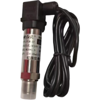 红旗压力表控制器 定制检测款 PLM-27 0.5级 (压力值需备注) 个