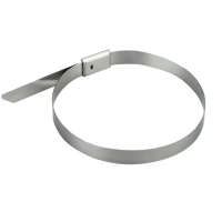 斯赞 304不锈钢扎带自锁式捆绑扎带 4.6*200mm 根