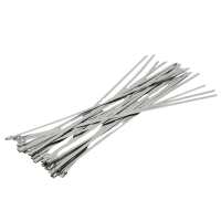 万梓 不锈钢扎带 19*900mm 根