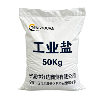 腾友安 工业盐 50Kg/袋