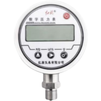 红旗 数字压力表数显压力表 YS-100 0-1MPA 块