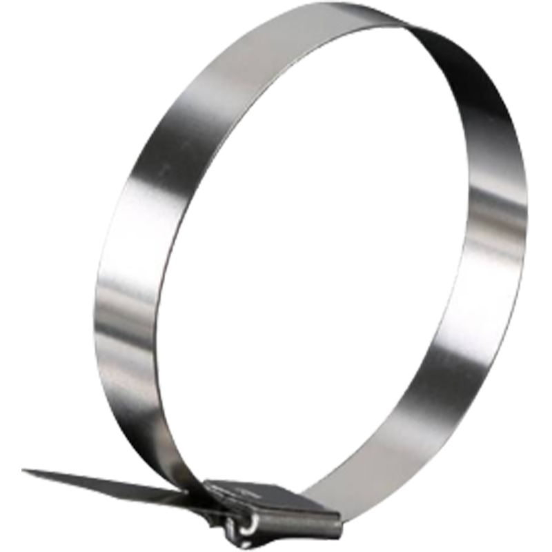 斯赞 304不锈钢扎带自锁式捆绑扎带 19*500mm 根