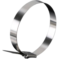 斯赞 304不锈钢扎带自锁式捆绑扎带 19*500mm 根