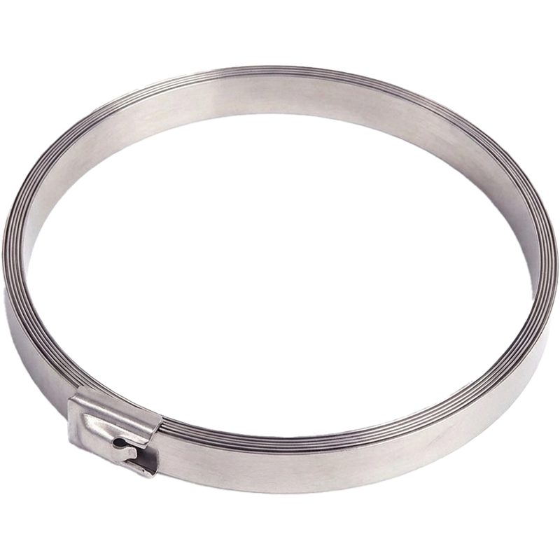 斯赞 304不锈钢扎带自锁式捆绑扎带 20.5*1800mm 根