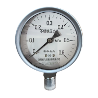 嘉禾长久 不锈钢耐温压力表检测型 Y100BF 块