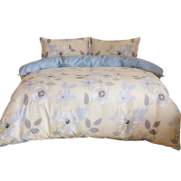 洁丽雅四件套柔软亲肤舒适软糯丝滑透气床单被套枕套AB版套件JLY- YHE102