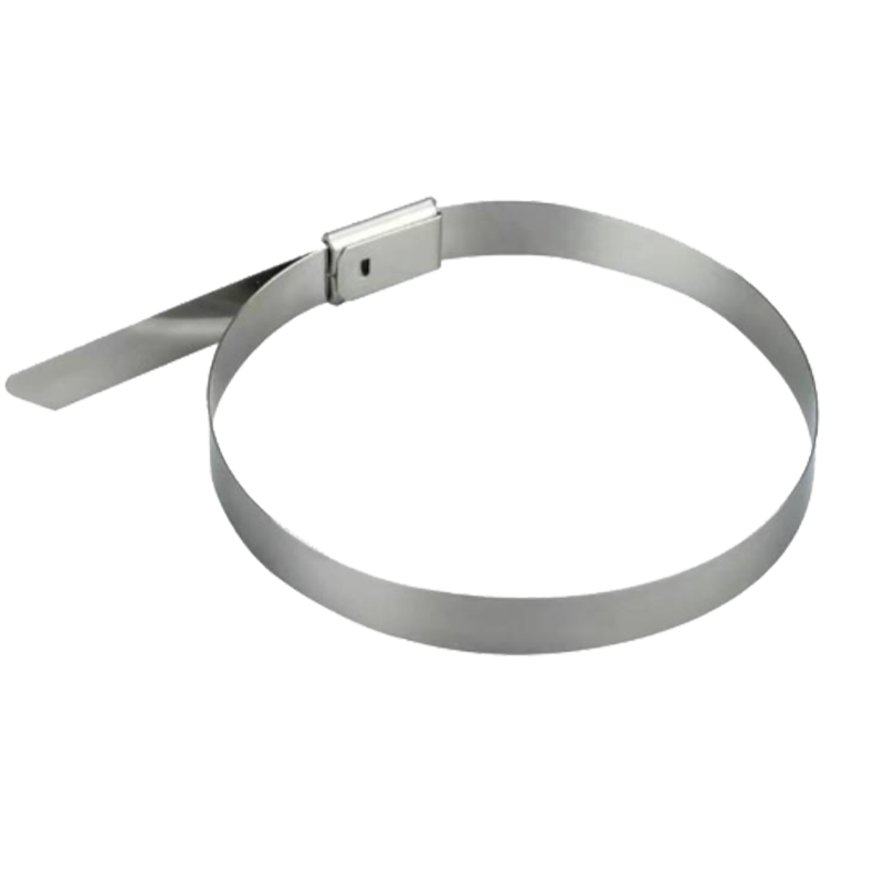 斯赞 304不锈钢扎带自锁式捆绑扎带 16*800mm 根