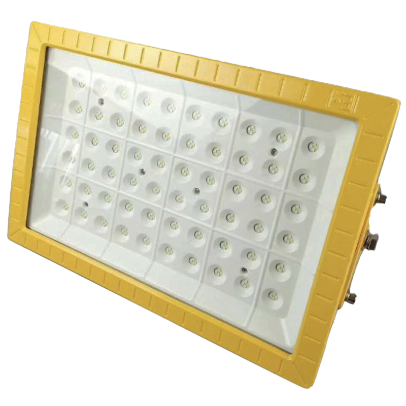 盛王盛荣 LED 防爆照明灯