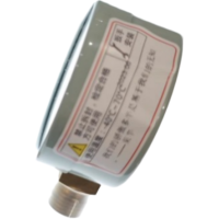 红旗 单针压力表定制检测款 Y60 1000KPA 块