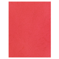 旗胜 皮纹纸红色 180g A4 包