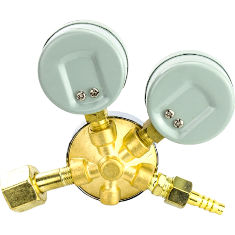 红旗 氧气减压器定制检测款 YQY-07 2.5*25 个