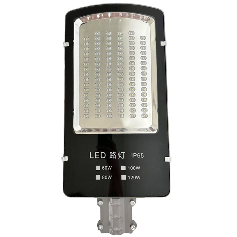 盛王盛荣 LED路灯灯头