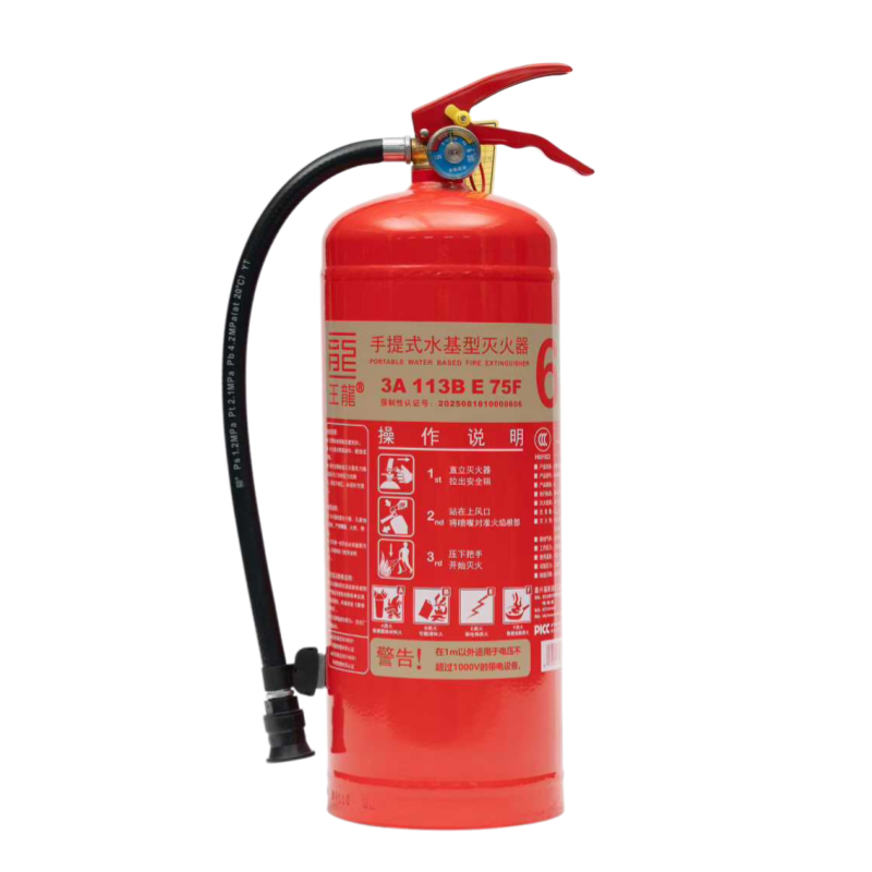 王龙 手提式水基型灭火器  6升 具