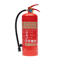 王龙 手提式水基型灭火器  6升 具