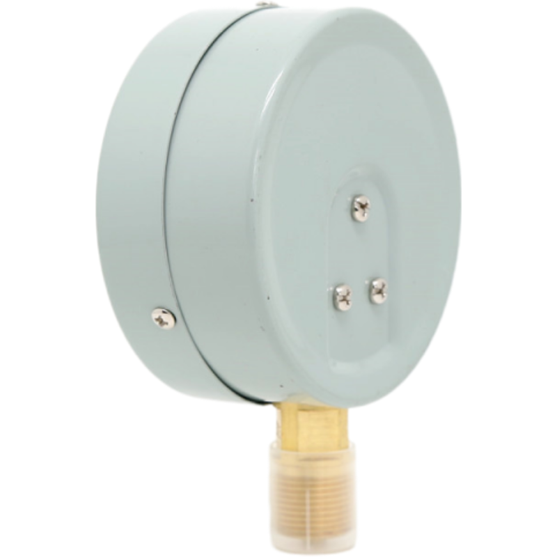 红旗 压力表定制检测款 Y60 0-6MPA块