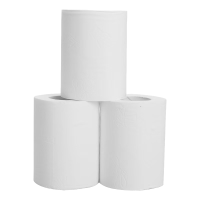 江小果卷纸 zc-0035 10卷/提