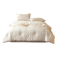 伊伊爱 全棉致简棉花春秋被