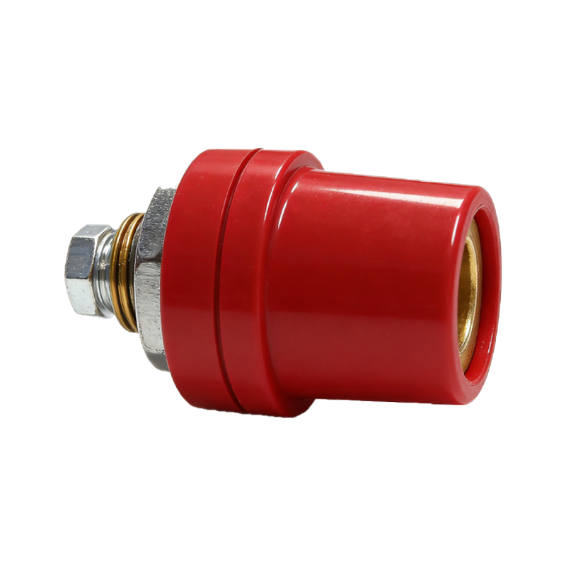 锴晟 插座电料 K22P-2 个