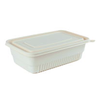 熊晟 可降解一次性餐盒 1000ml 300个/箱