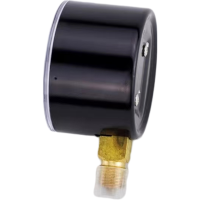 红旗 膜盒压力表定制检测款Y60(备注压力值)块