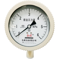红旗 膜盒压力表定制检测款Y100(备注压力值) 块