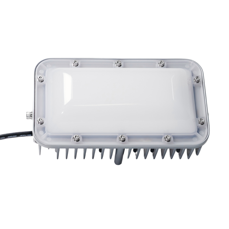 海威乐 30w超亮投光灯HWL-TGD001