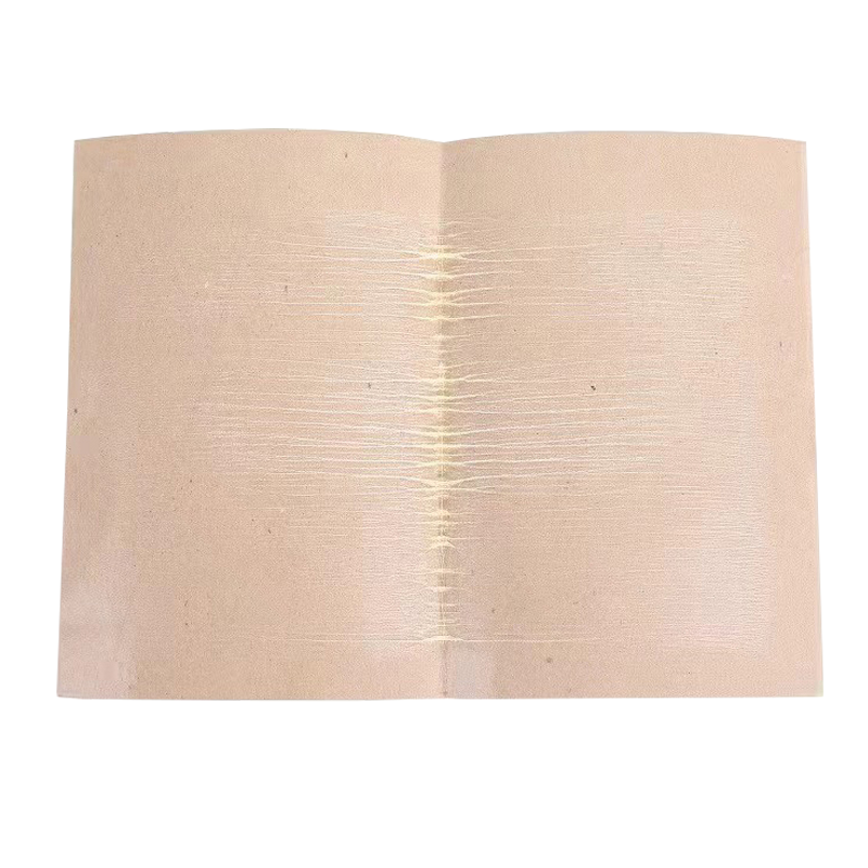 炯毅 苍蝇贴强力粘蝇纸板家用粘苍蝇捕蝇器灭苍蝇养殖场粘灭苍蝇虫 苍蝇纸板 粘蝇纸打开17cm*25cm(10张)包