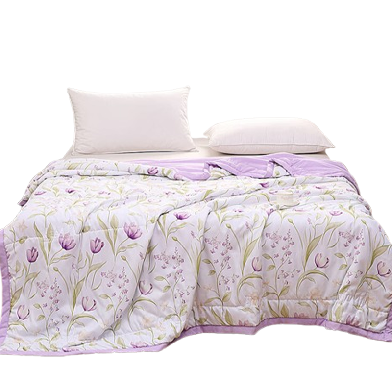 洁丽雅被子200*230cm洛卡棉夏被吸湿透气手感柔软薇尔兰JLY-YHK225