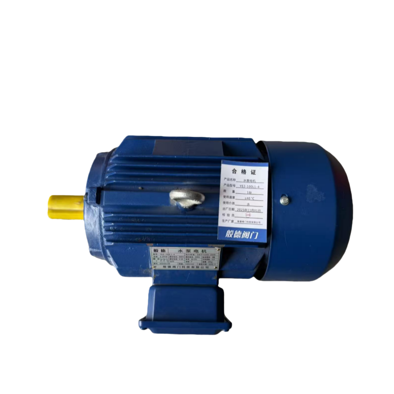 般德 水泵电机 YE2-100L1-4 台